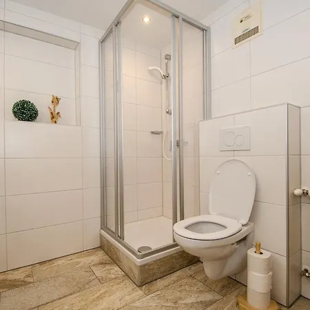 Almliesl Mitt-396 Prázdninový dům Mittersill